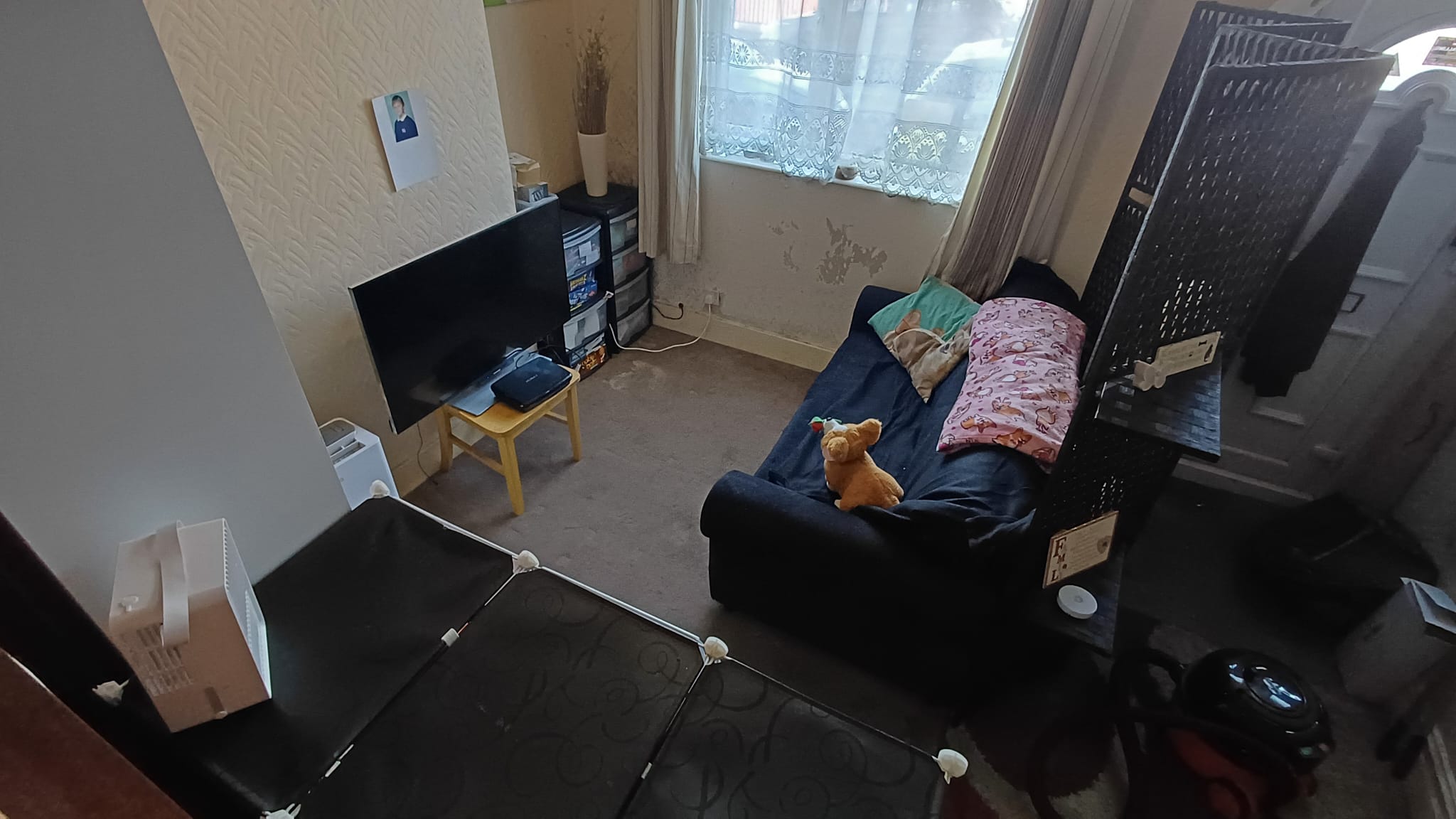 BEFORE Image